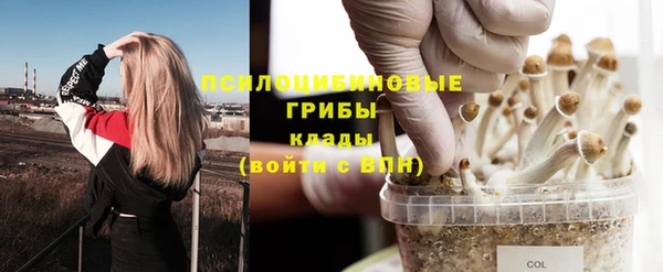 спайс Нефтегорск